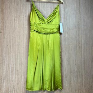 Badgley Mischka Citron Dress
